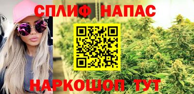 прущие грибы Пенза
