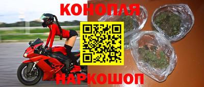 прущие грибы Пенза