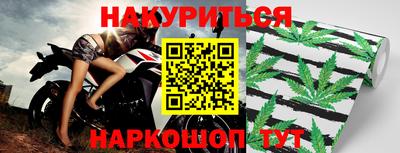 прущие грибы Пенза