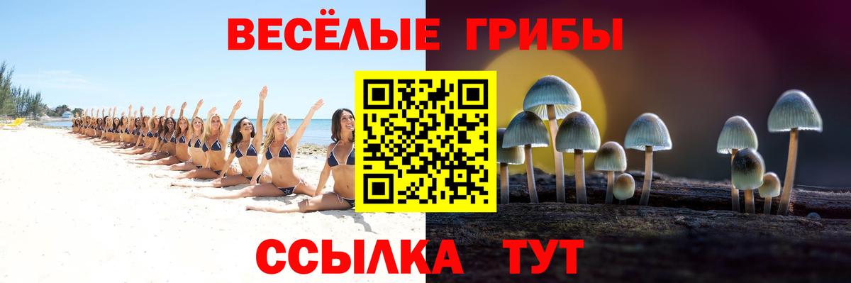 Псилоцибиновые грибы Magic Shrooms  Вход с VPN  Соль-Илецк 